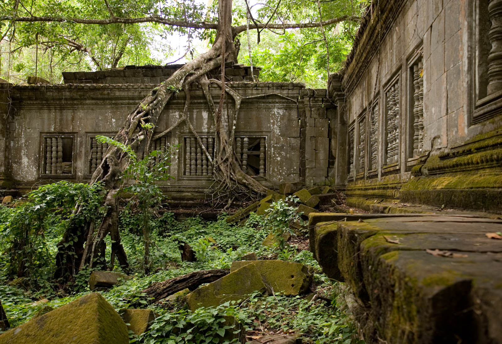 Beng Melea ruined temple Far Horizons Cambodia tour