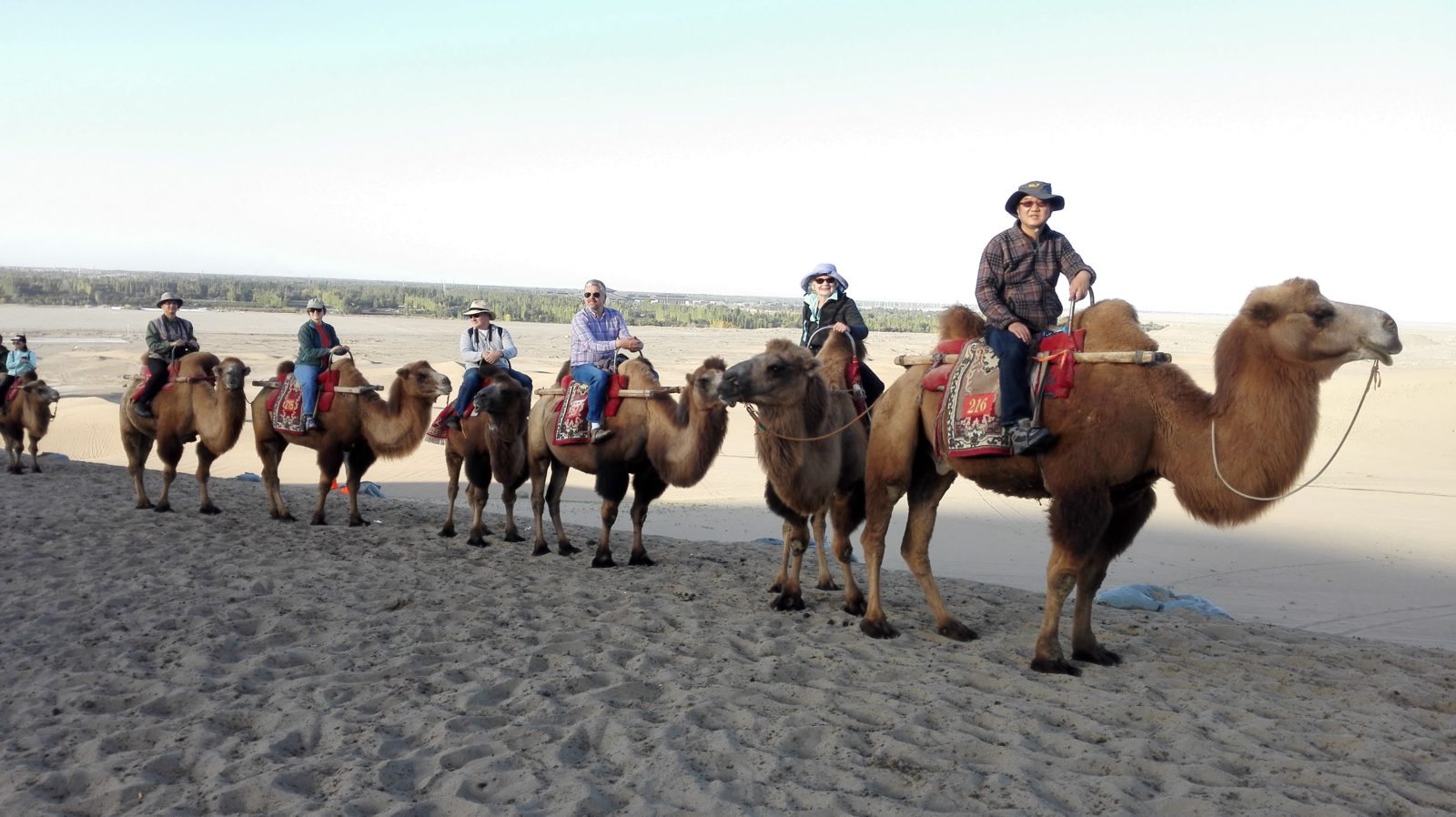 Camel ride Rawak Ruins Western China