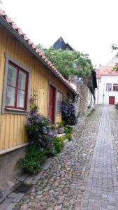Visby Gotland Visby Gotland Viking tour archaeology tour Denmark tour Sweden tour