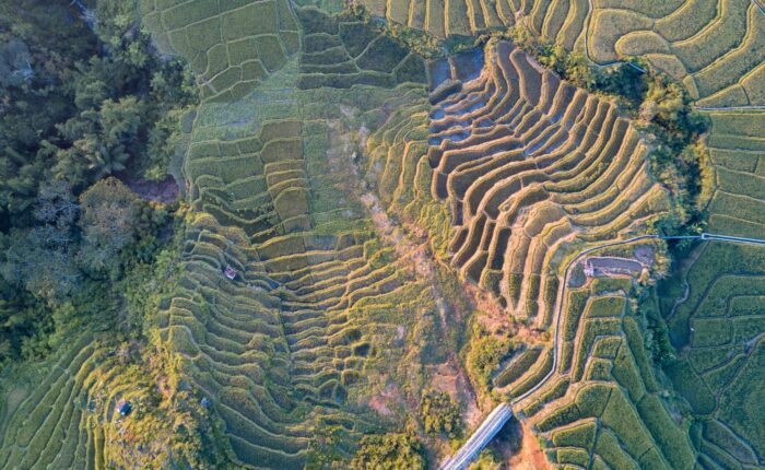 tours cambodia and laos