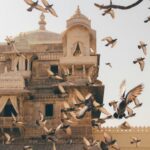 mitchell-ng-liang-an-KkDUWOKHOCk-unsplash Udaipur India